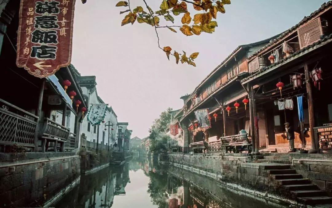 【两会·黔言】申小云委员：建议大力发展草食畜牧业盘活闲置资源增加群众收入